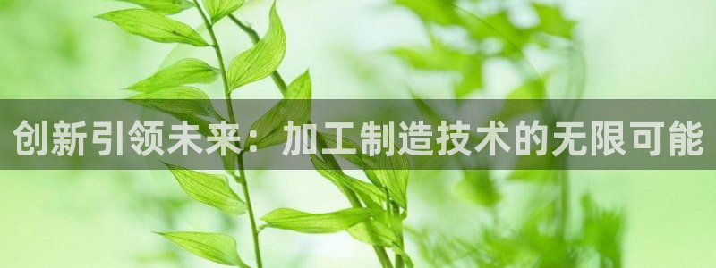 星欧娱乐平台主管