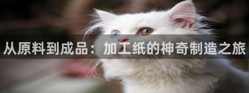 娱乐星天地马思纯欧豪