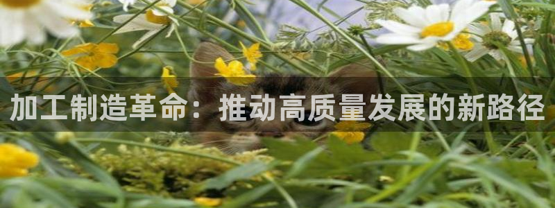 欧星在线娱乐