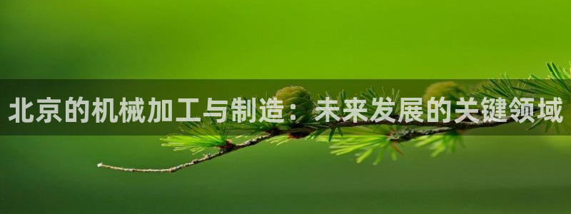欧乐星城娱乐的介绍