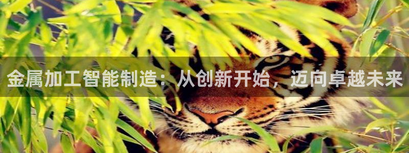 星欧娱乐下载官网