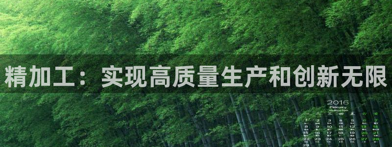 星辉娱乐进入欧联杯了吗