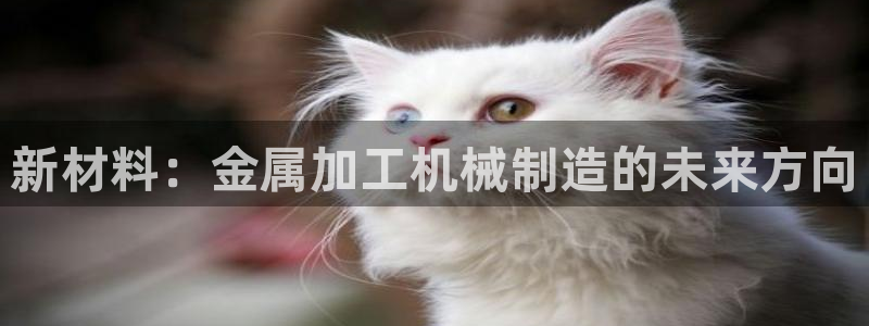 星欧娱乐官网客服电话