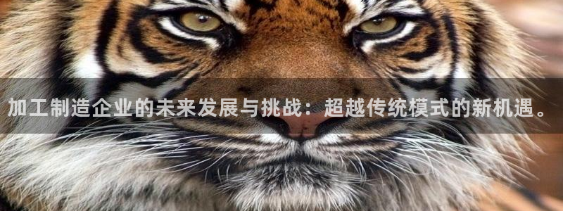 欧乐星城娱乐